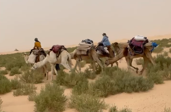 Aufbruch in die Wüste